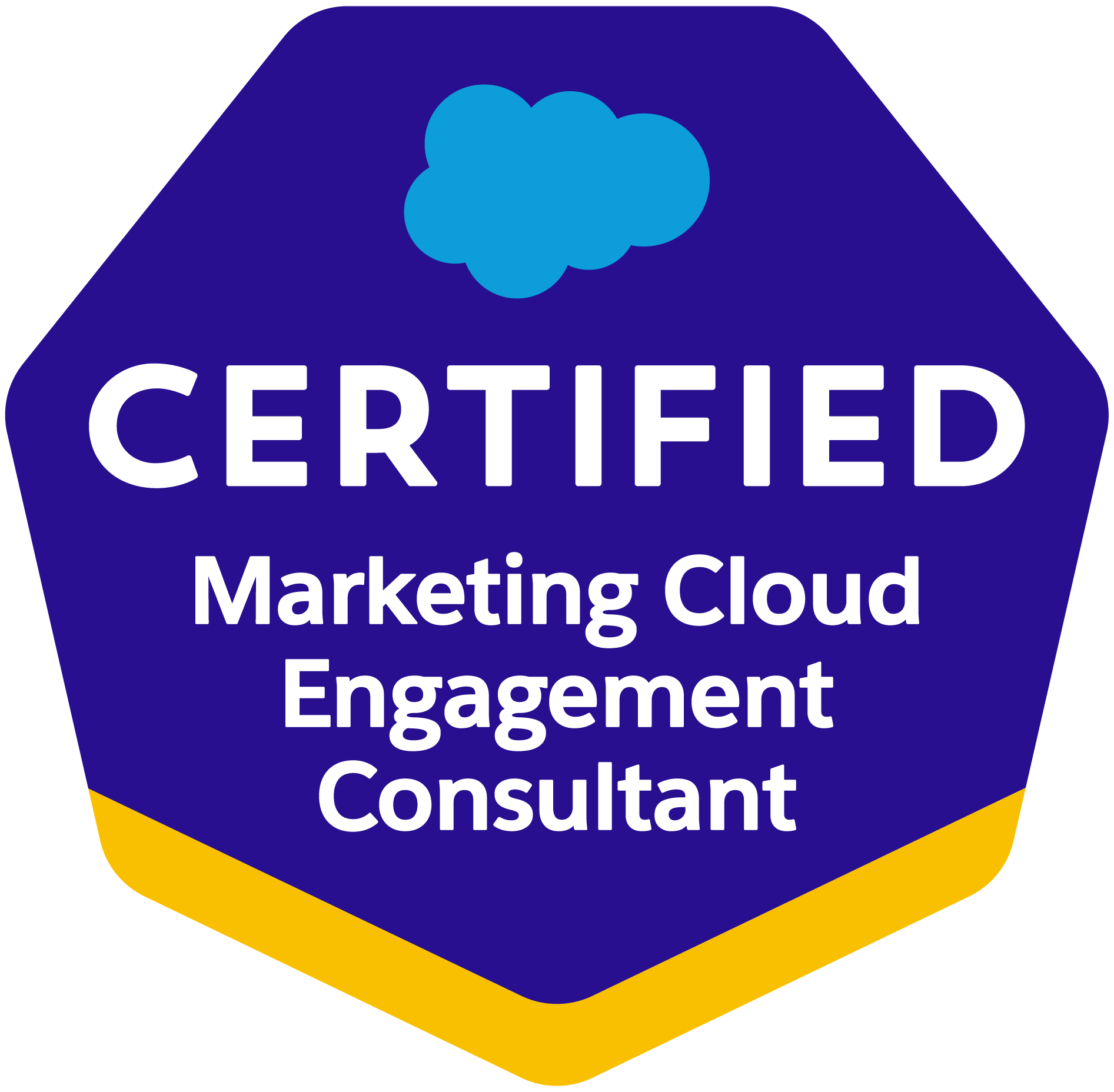 Salesforce Certified Marketing Cloud Engagement Consultant